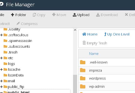 فاطمه جعفری